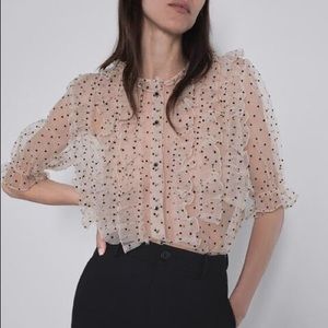 Zara Polka Dot Organza Blouse